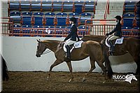 4H-State-2015-1264.jpg