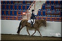 4H-State-2015-1272.jpg