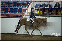 4H-State-2015-1273.jpg