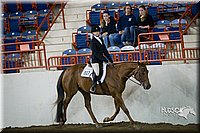 4H-State-2015-1278.jpg