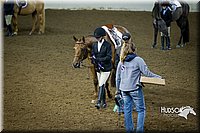 4H-State-2015-1282.jpg