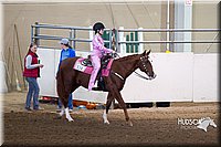 62. Beginner Western Horsemanship