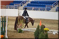 34. Open Trail Horses, Sr. Rider