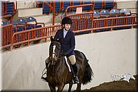 44. Working Hunter Pony