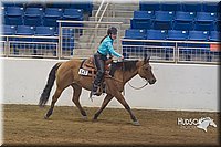 45. Working Western Horse or Pony