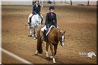 55. Breed Type Hunter Under Saddle Horses - Sr. Rider