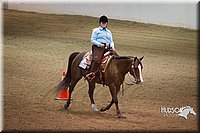 64. Western Horsemanship, Intermediate