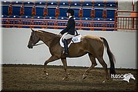 69. Hunter Seat Equitation (on the flat) - Jr. Division