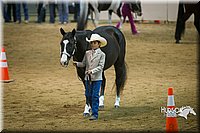 23. Western Grooming & Showmanship -Jr. Division