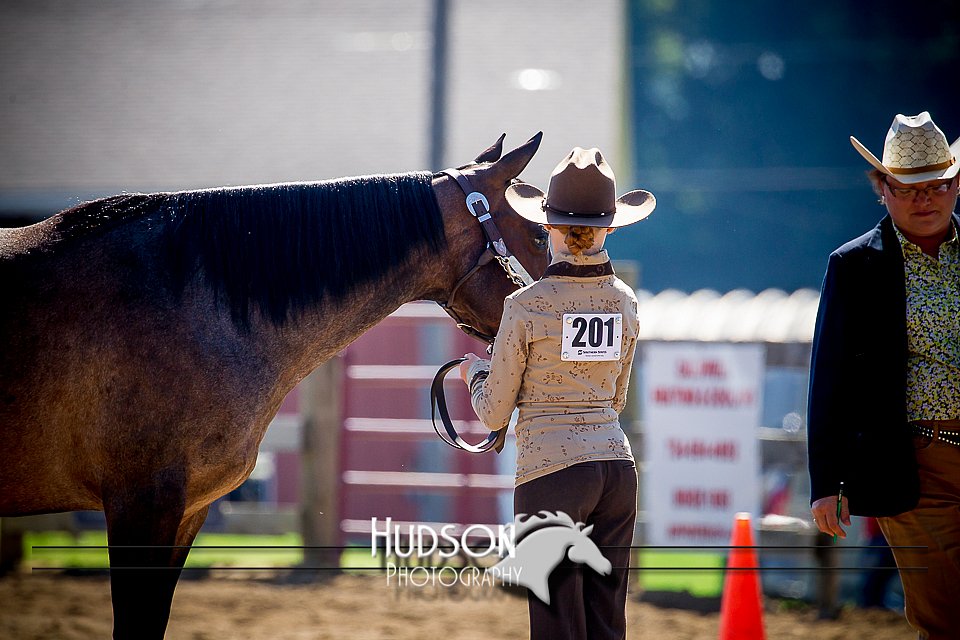 4H-1st-061916-0179.jpg