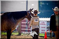 4H-1st-061916-0179.jpg