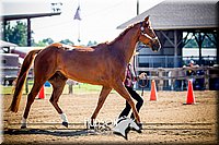 4H-1st-061916-0188.jpg