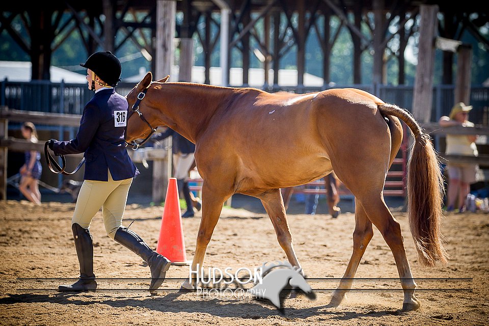 4H-1st-061916-0264.jpg