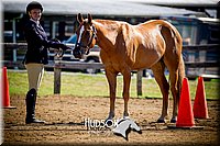 4H-1st-061916-0257.jpg