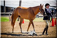 4H-1st-061916-0260.jpg