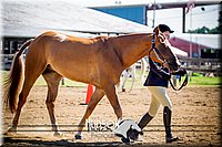 4H-1st-061916-0261.jpg