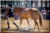 4H-1st-061916-0263.jpg