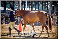 4H-1st-061916-0264.jpg