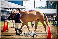 4H-1st-061916-0265.jpg