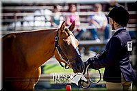 4H-1st-061916-0268.jpg
