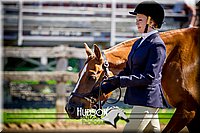 4H-1st-061916-0269.jpg