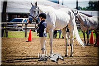 4H-1st-061916-0367.jpg