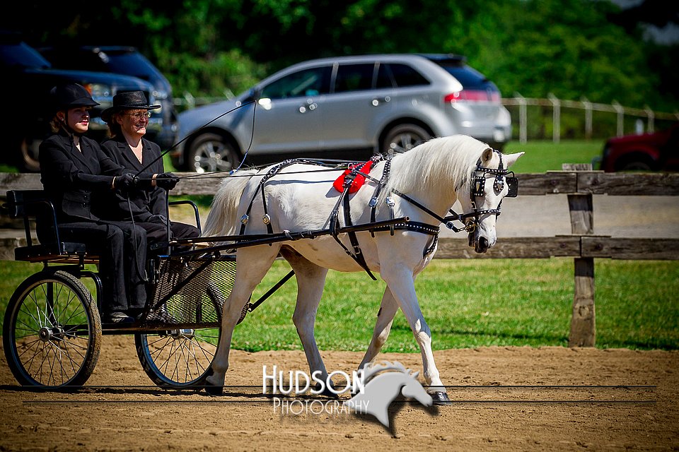 4H-1st-061916-0491.jpg