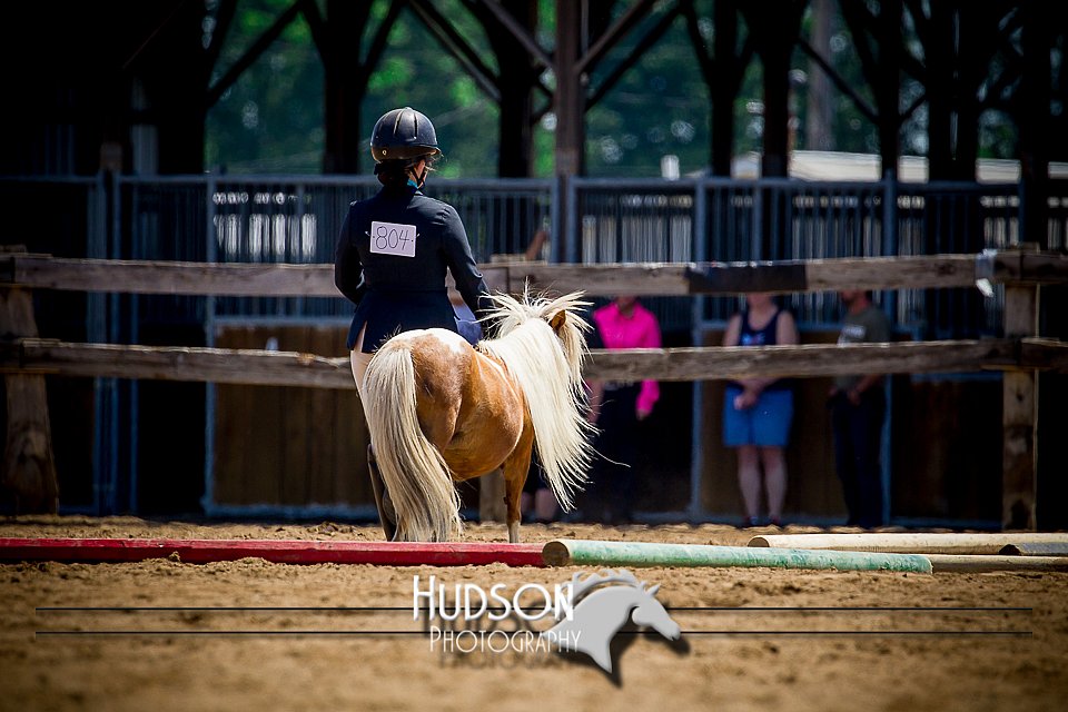 4H-1st-061916-0650.jpg