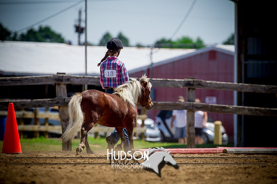 4H-1st-061916-0661.jpg