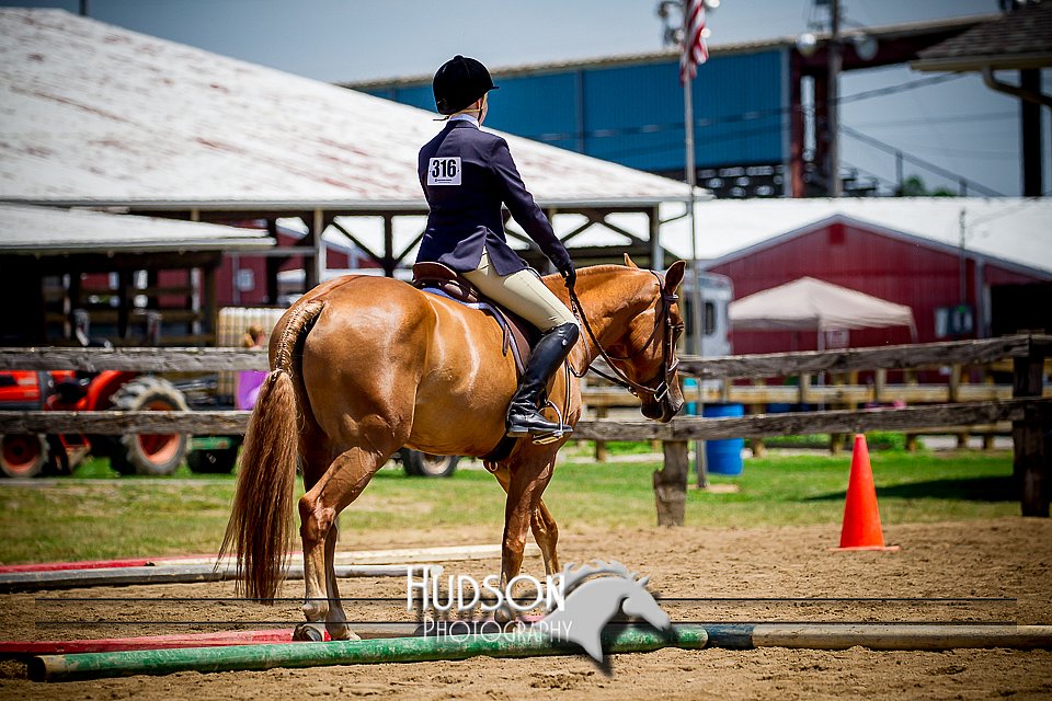 4H-1st-061916-0883.jpg