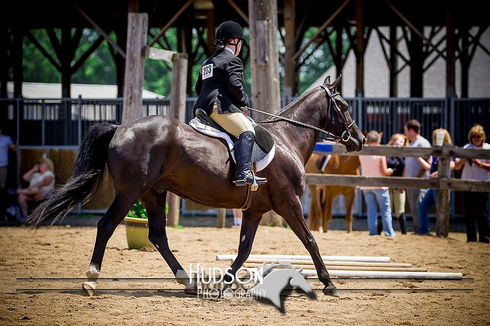 4H-1st-061916-0915.jpg