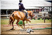 4H-1st-061916-0880.jpg