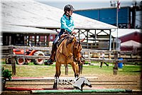 4H-1st-061916-0897.jpg