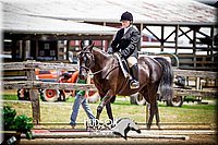 4H-1st-061916-0905.jpg