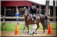 4H-1st-061916-0906.jpg