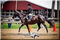 4H-1st-061916-0908.jpg