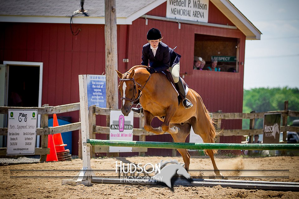 4H-1st-061916-1013.jpg