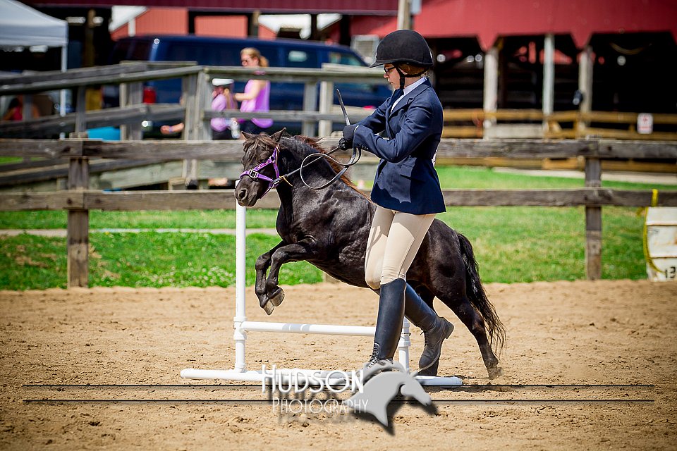 4H-1st-061916-1078.jpg