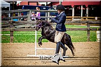 4H-1st-061916-1078.jpg