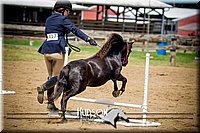 4H-1st-061916-1079.jpg