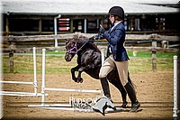 4H-1st-061916-1082.jpg