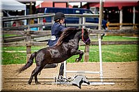 4H-1st-061916-1083.jpg
