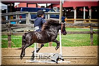 4H-1st-061916-1084.jpg