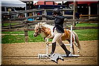 4H-1st-061916-1087.jpg