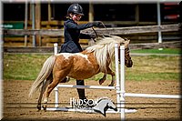 4H-1st-061916-1092.jpg