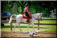 4H-1st-061916-1178.jpg