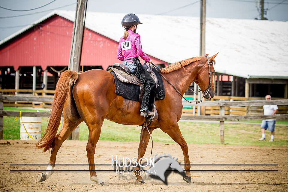 4H-1st-061916-1415.jpg