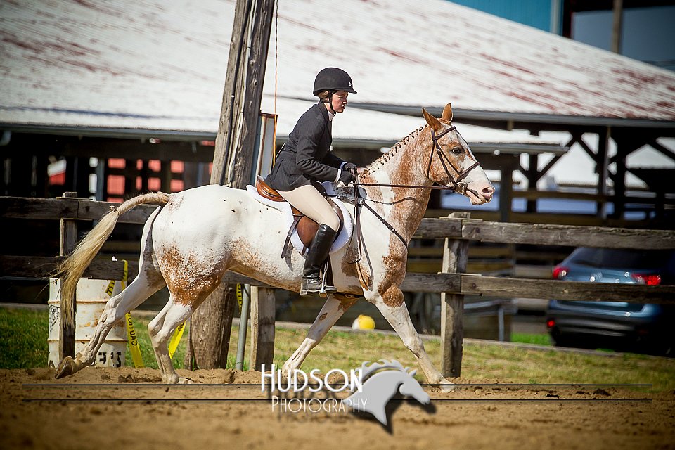 4H-1st-061916-1551.jpg