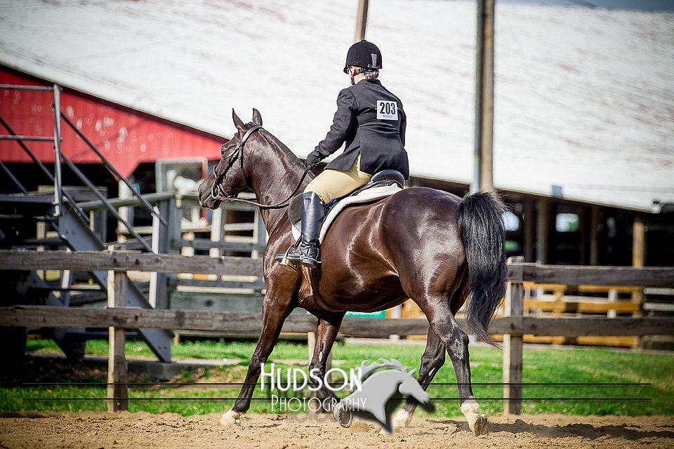 4H-1st-061916-1562.jpg