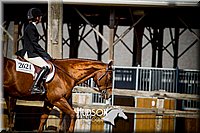 4H-1st-061916-1605.jpg